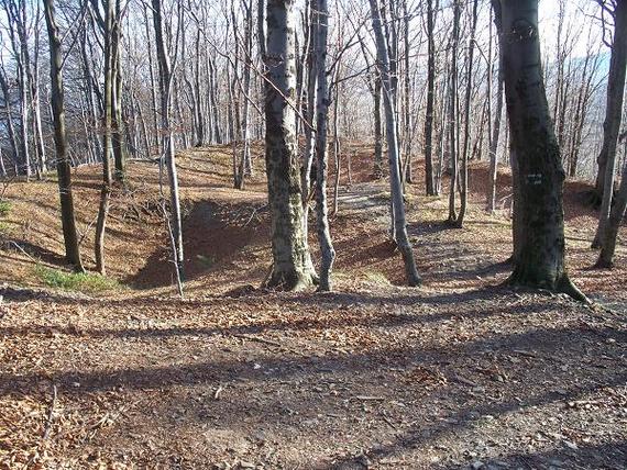 Widok z majdanu na południowy wał.jpg