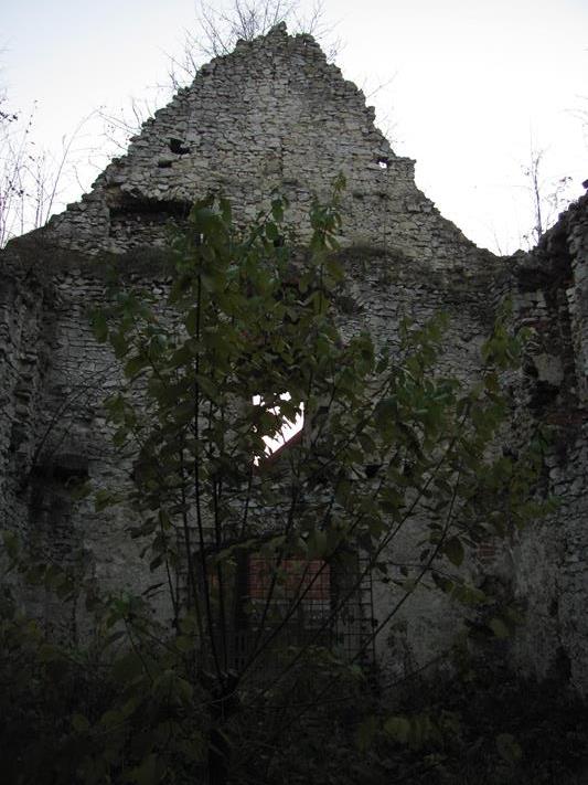 Zarzecze - ruiny kościoła (10).jpg