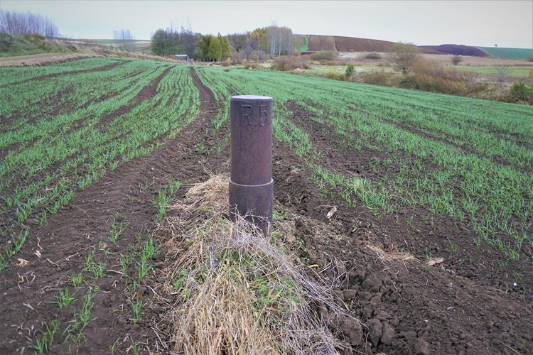 Stara rura na Podkarpaciu (2).JPG