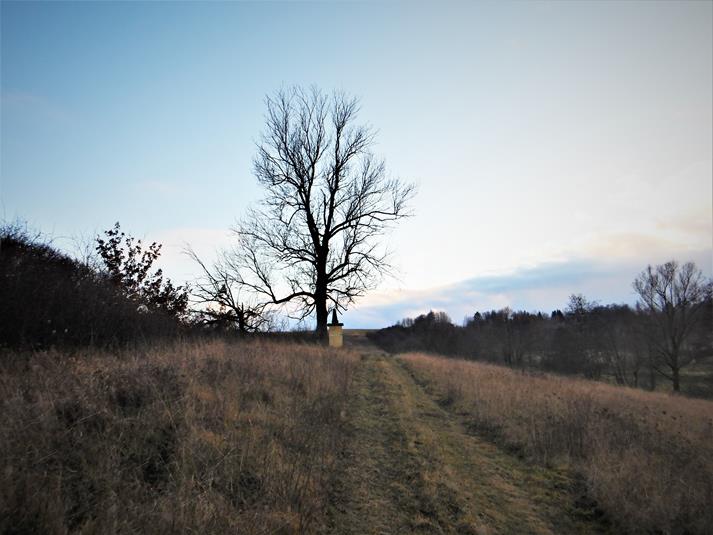 Kapliczka na Polach Dżumowych (1).JPG