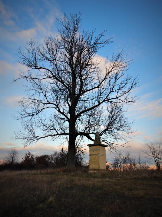 Kapliczka na Polach Dżumowych (4).JPG