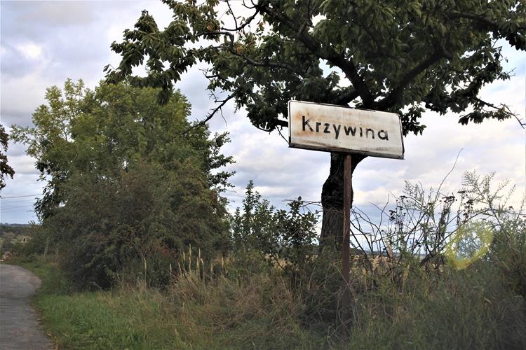 Krzywina.JPG