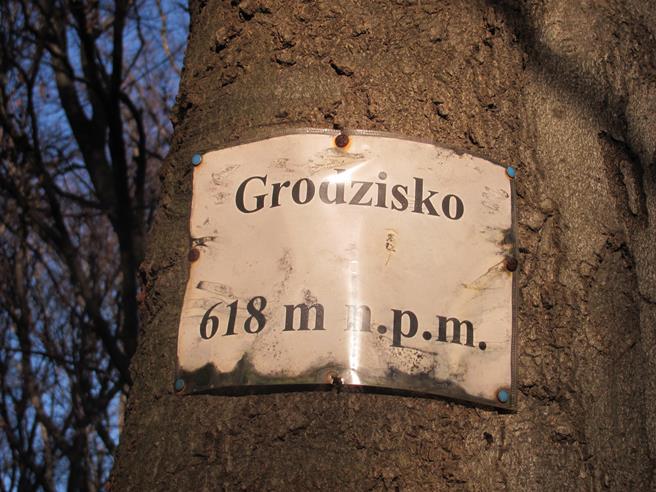 Grodzisko w Poznachowicach Górnych (8).JPG