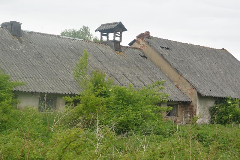 Chlewnie i tuczarnie w Będuszu (5).JPG