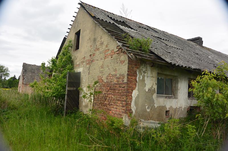 Chlewnie i tuczarnie w Będuszu (8).JPG