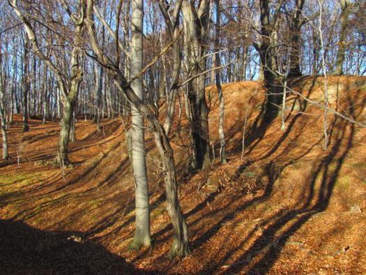 Grodzisko w Poznachowicach Górnych (2).JPG