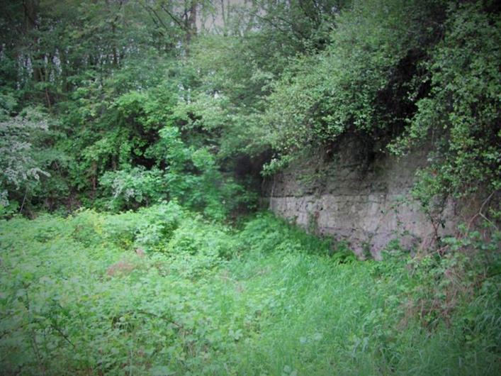 Fort Podchruście - dobrze widoczne są jedynie wały ziemne (3).jpg