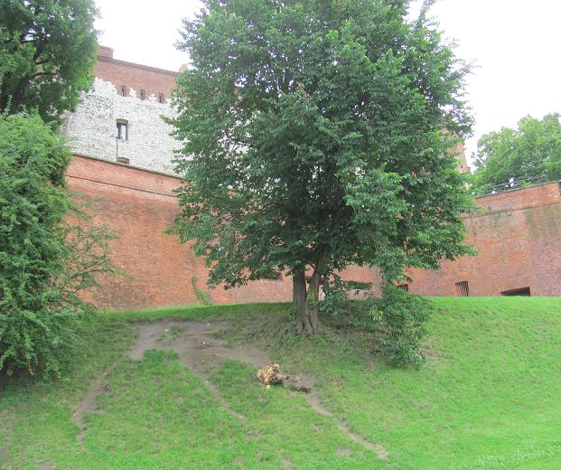 Cytadela Wawel - 60.JPG