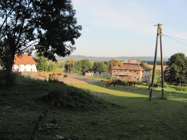 Widok na zabudowania folwarczne.JPG