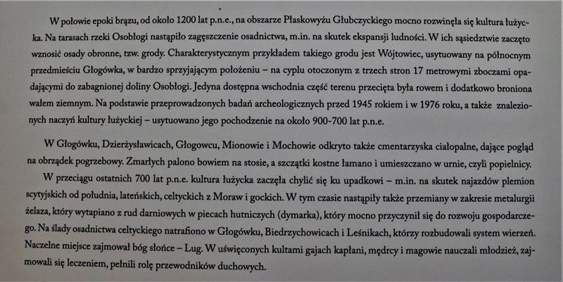 Wójtowiec (2).JPG