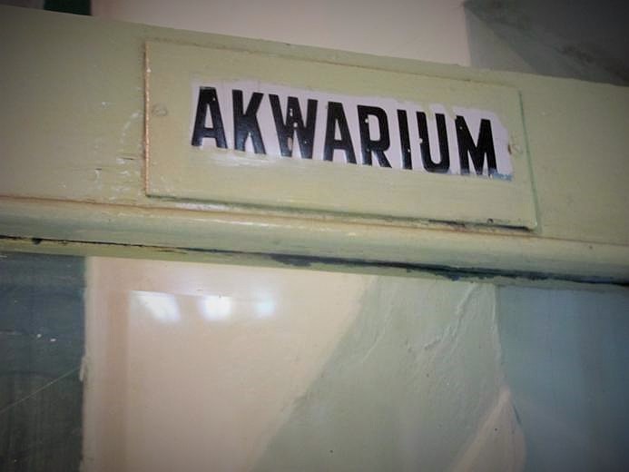 Akwarium.jpg