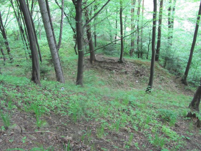 Krótki wał zaporowy, znajdujący się na północno - zachodnim stoku  - kropki (2).jpg