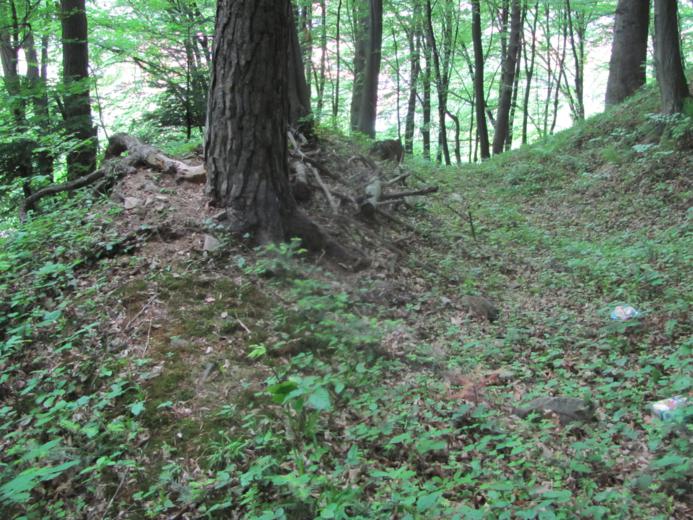 Krótki wał zaporowy, znajdujący się na północno - zachodnim stoku  - kropki (3).jpg