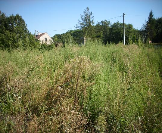 10. Mateczny - sierpień 2015 fot. 2.JPG