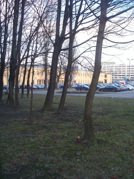 Widok na centrum handlowe.jpg