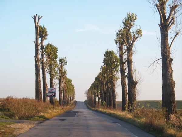 Na końcu wsi przy drodze.jpg