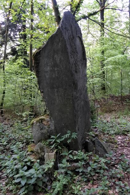 Pomnik w lesie (7).JPG