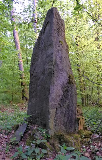 Pomnik w lesie (9).JPG