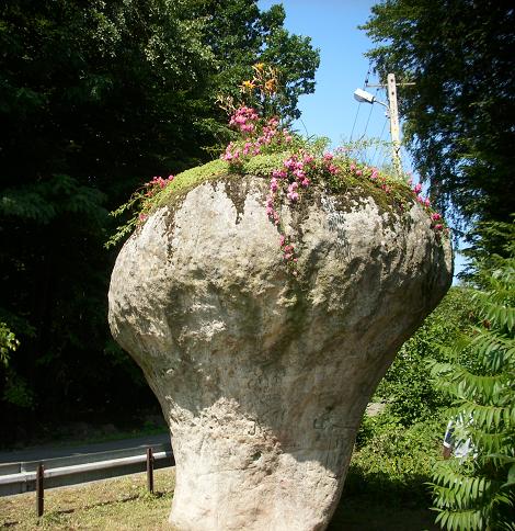 Kamień Grzyb - 3.JPG