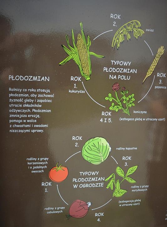 Ogród Edukacyjny Roślin Uprawnych (5).JPG