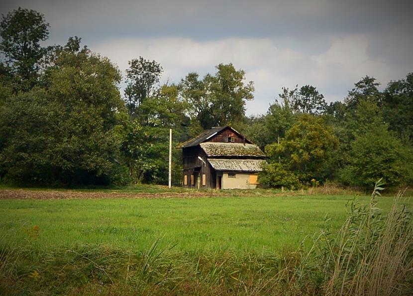 Młodziejowice - młyn (1).JPG