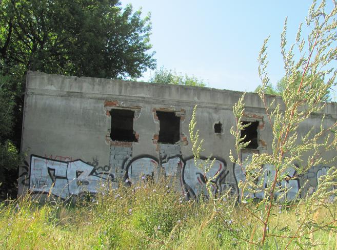 Ruiny przy ul. Tischnera - fot. 2.JPG