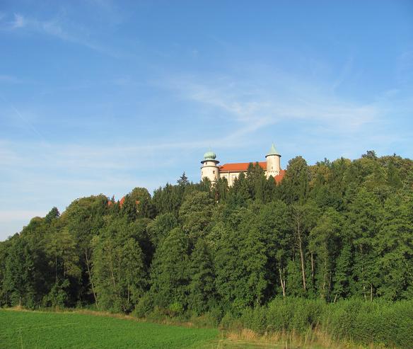Zamek w Wiśniczu - 1.JPG
