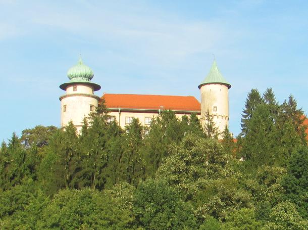 Zamek w Wiśniczu - 2.JPG