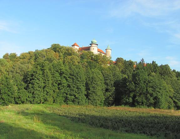 Zamek w Wiśniczu - 3.JPG