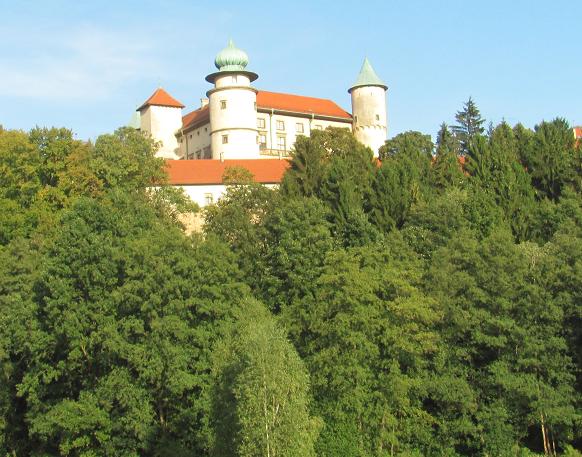 Zamek w Wiśniczu - 4.JPG