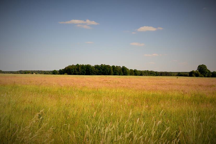 Wędzina - widok ogólny.JPG