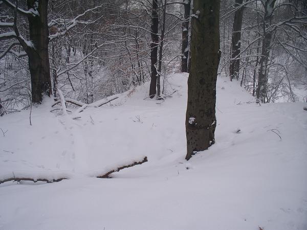 Widok z majdanu na kopiec, znajdujący się na samym końcu cypla.JPG