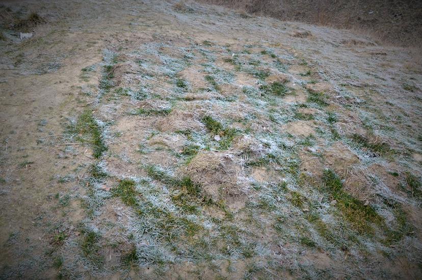 Ślady po dwóch wykopach archeologicznych z  2015 roku (2).JPG