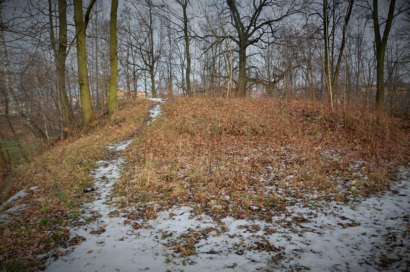 Grodzisko w Zabrzu z zamarznietego stawu (5).JPG