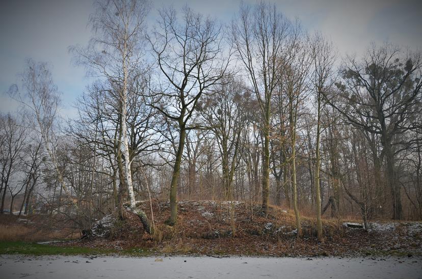 Grodzisko w Zabrzu z zamarznietego stawu (8).JPG