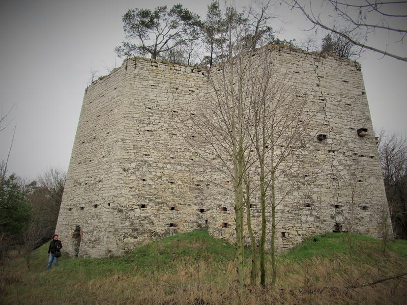 Gogolin - wapienniki przy ulicy Kamiennej (13).jpg