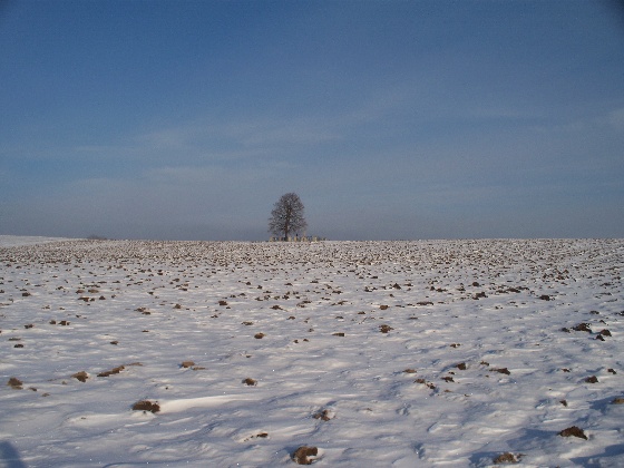 Ku majaczącemu w oddali drzewu.jpg