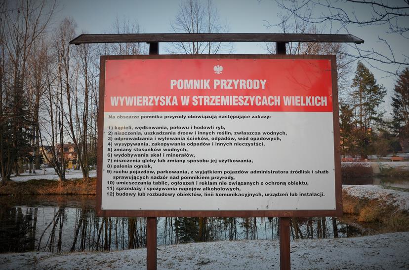 Wywierzyska (11).JPG