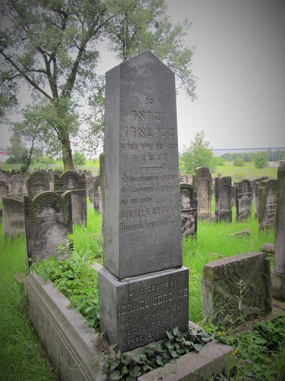 Cmentarz żydowski w Czeladzi w lipcu 2012 roku (9).jpg