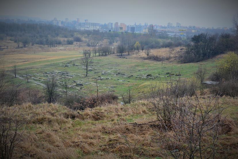 Widok z Kamieniołomu Miejskiego.JPG