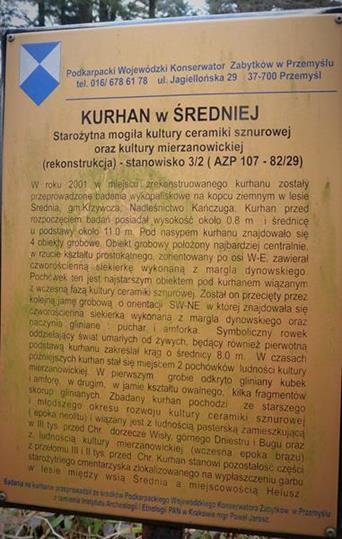 Średnia - kurhan II (2).JPG