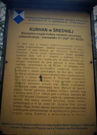 Średnia - kurhan III (5).JPG