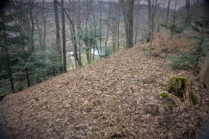 Wybitnie stroma krawędź grodziska, niemal pionowa od północy (1).JPG