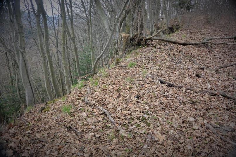 Wybitnie stroma krawędź grodziska, niemal pionowa od północy (2).JPG