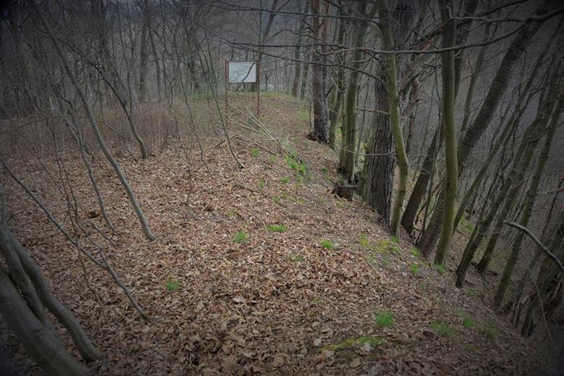 Wybitnie stroma krawędź grodziska, niemal pionowa od północy (3).JPG