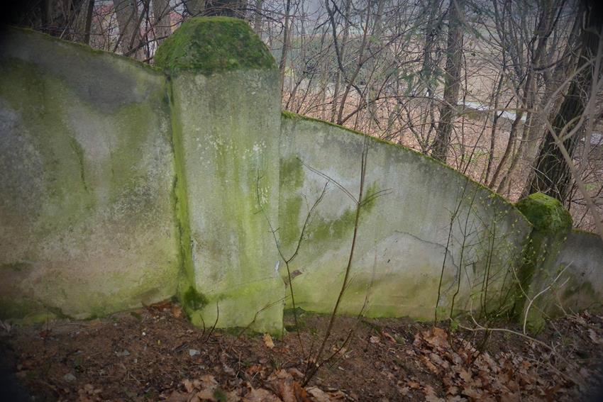Dynów - stary cmentarz żydowski (14).JPG