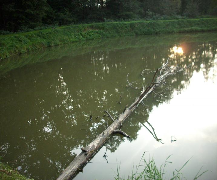 Dolina Czterech Stawów - wrzesień 2016 r..JPG