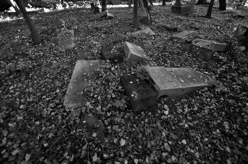 Na cmentarzu (18).JPG