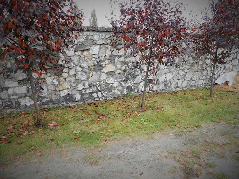 Zapomniane groby żołnierzy Wehrmachtu (4).JPG