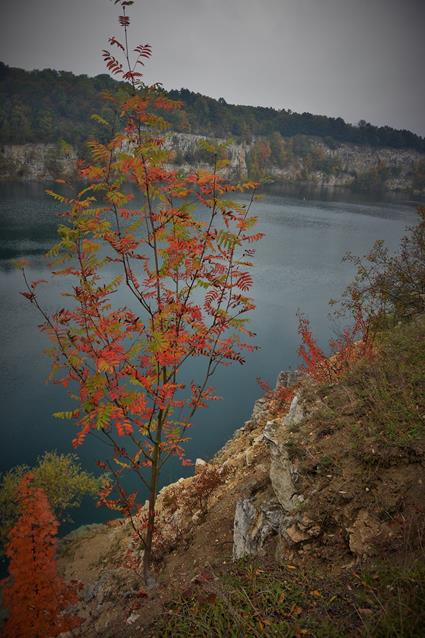 Zakrzówek - październik 2016 (27).JPG